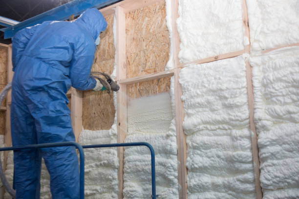 Best Basement Insulation in Dresser, WI